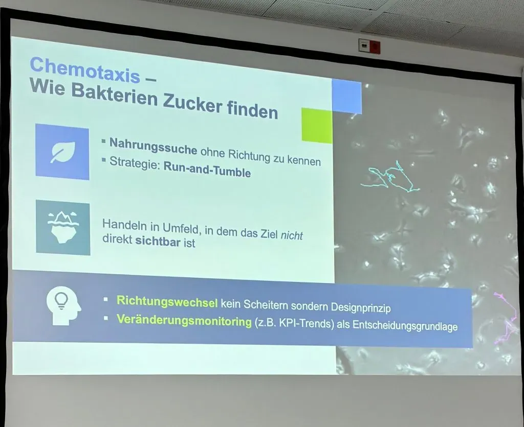 Chemotaxis: zielgerichtete Bewegung durch »Run-and-Tumble« statt auf direktem Weg