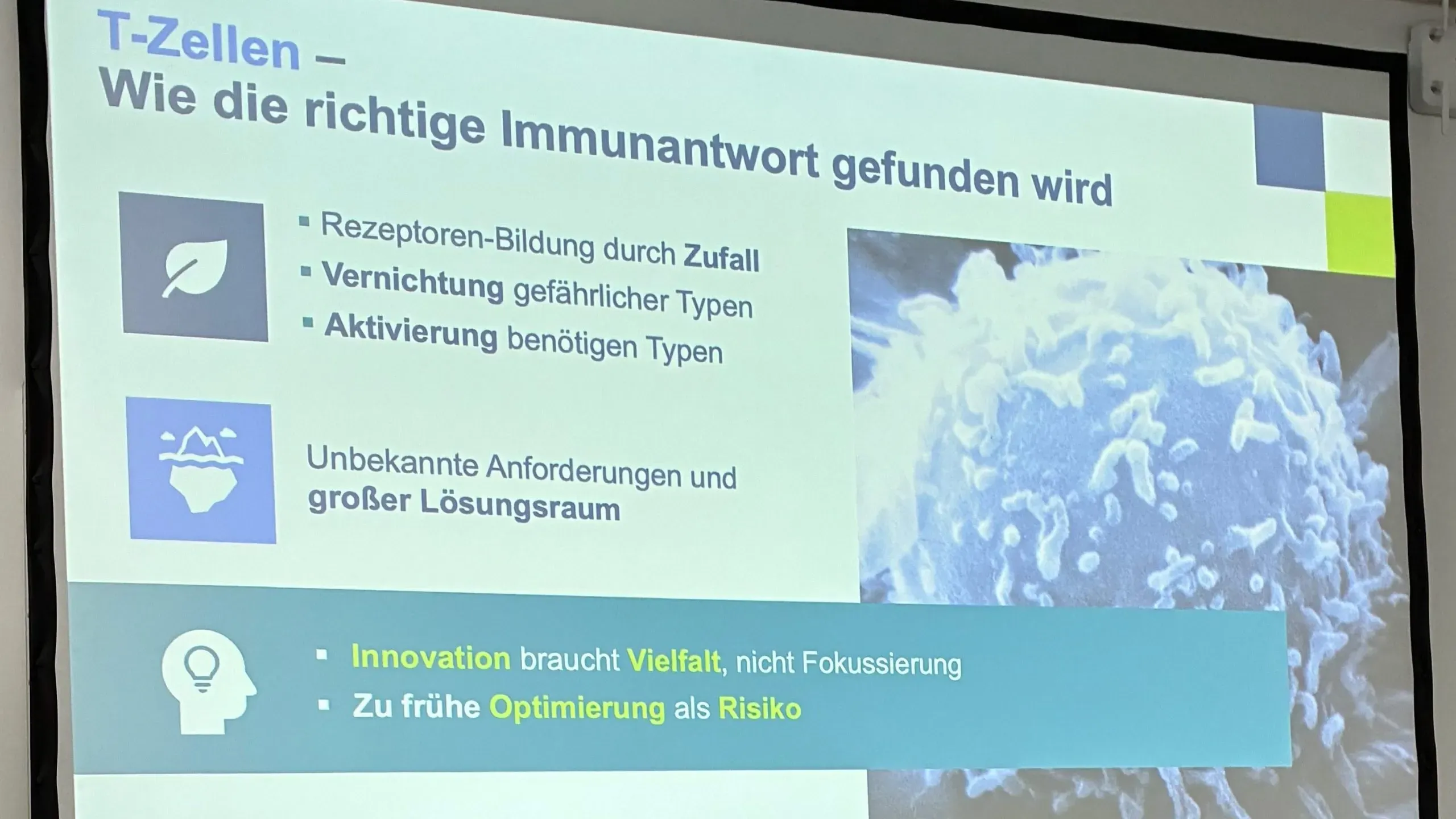 T-Zellen als Beispiel: Innovation braucht Vielfalt statt vorzeitiger Fokussierung