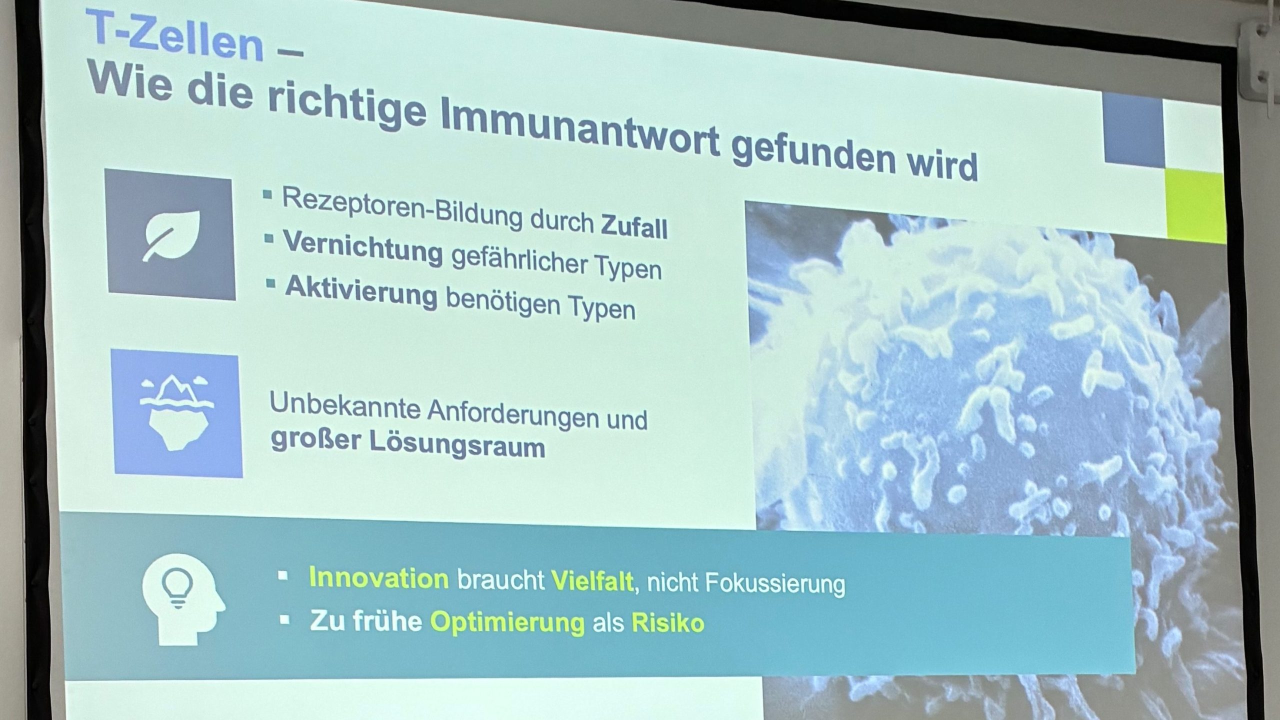 Übersicht zu T-Zellen